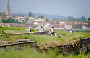 DuVinecycling in burgundy